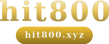 hit800 logo